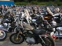 gb05bikes4.JPG