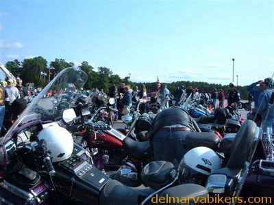 ff06193.jpg