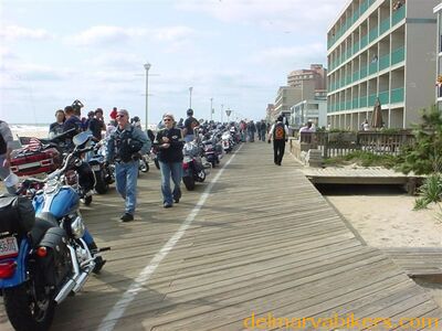 ff06408.jpg