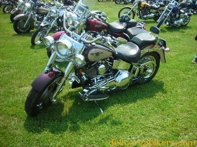 tb06141.JPG