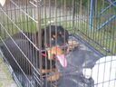 Filename=tb06046.JPG
Filesize=99KiB
Dimensions=640x480
Date added=Sep 18, 2026 tb06046.JPG