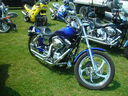 tb06146.JPG