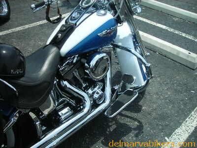 hg06054.JPG