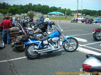 hg06068.JPG