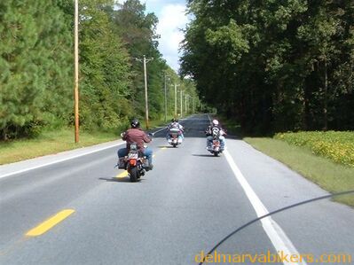 md06111.jpg
