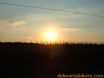 ws06049.jpg