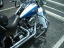 hg06054.JPG