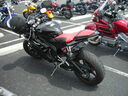 hg06070.JPG
