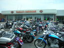 hg06084.JPG