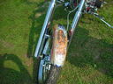 bb06053.JPG