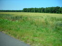 st06280.JPG