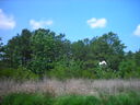 st06363.JPG