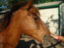 ch06050.JPG