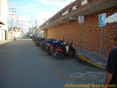 cr06387.JPG