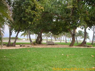 cr06649.JPG