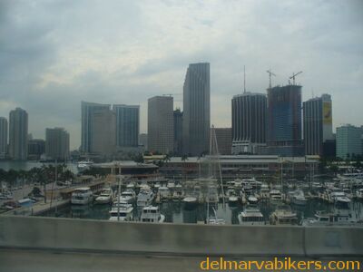cruse2006012.jpg