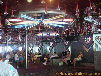 cruse2006088.jpg