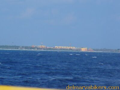cruse2006091.jpg