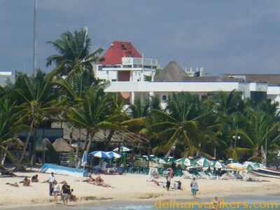 cruse2006099.jpg