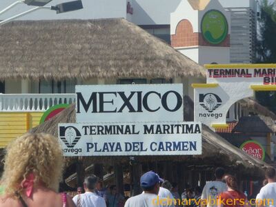 cruse2006104.jpg