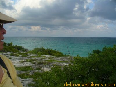 cruse2006193.jpg