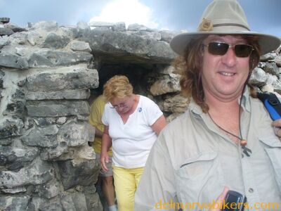 cruse2006198.jpg