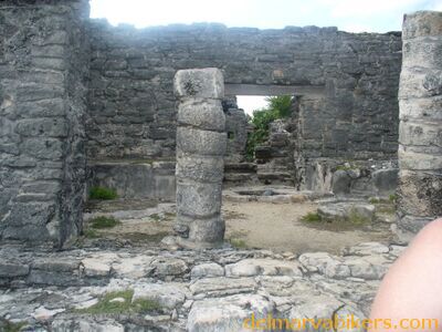 cruse2006199.jpg