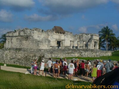cruse2006216.jpg