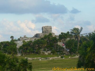 cruse2006265.jpg