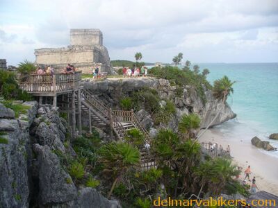 cruse2006325.jpg