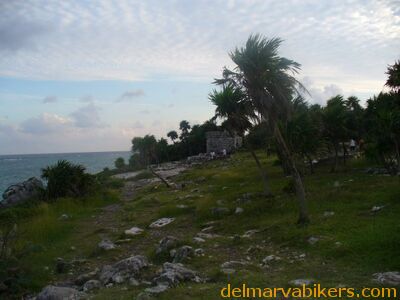 cruse2006327.jpg
