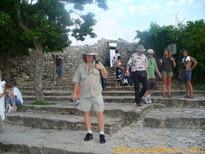 cruse2006342.jpg