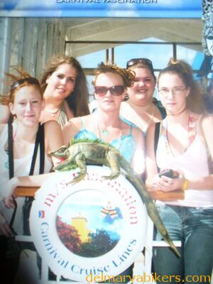 cruse2006508.jpg