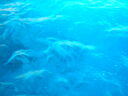 Filename=cr06351.JPG
Filesize=71KiB
Dimensions=640x480
Date added=Sep 18, 2026 cr06351.JPG