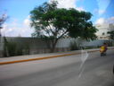 cr06368.JPG