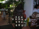 Filename=cr06386.JPG
Filesize=90KiB
Dimensions=640x480
Date added=Sep 18, 2026 cr06386.JPG