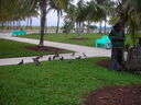 cr06635.JPG