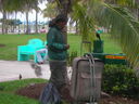 cr06639.JPG