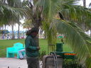 cr06641.JPG