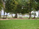 cr06649.JPG