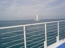 cruse06032.jpg