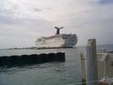 cruse06035.jpg