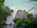 cruse06154.jpg