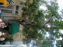 cruse2006064.jpg