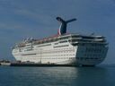cruse2006068.jpg