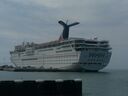 cruse2006079.jpg