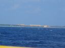 cruse2006091.jpg