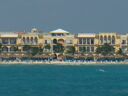 cruse2006095.jpg