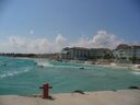 cruse2006105.jpg