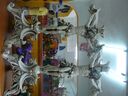 cruse2006140.jpg